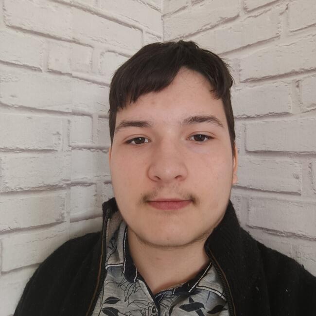Babysitter in Marigny-le-Châtel: Alexian