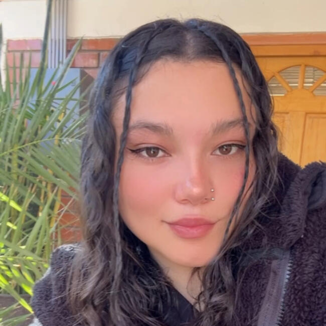 Babysitter in Calama: Jessenia