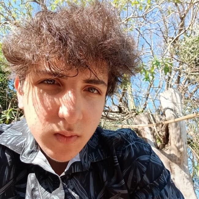 Babysitter in Paysandú: Alejandro
