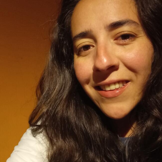 Babysitter in Puerto Varas: Cristina Andrea
