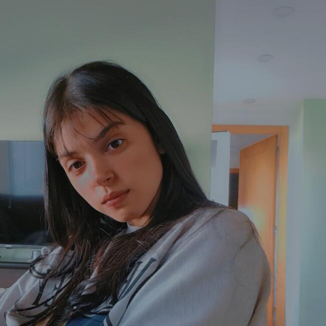 Babysitter in Porto: Pyllar