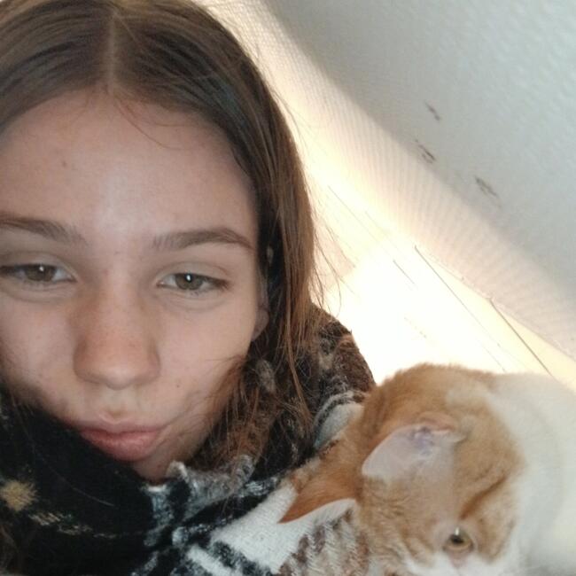 Babysitter in Pontivy: Anna