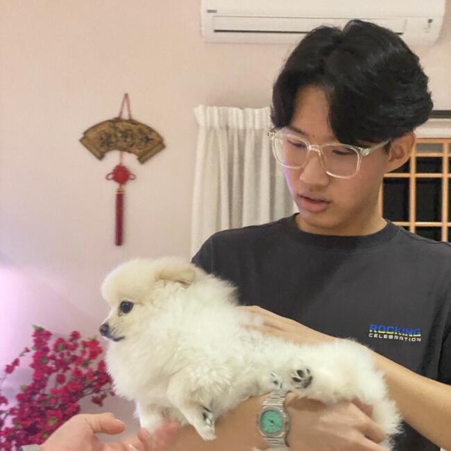 Pengasuh di Singapore Island: Jun kai