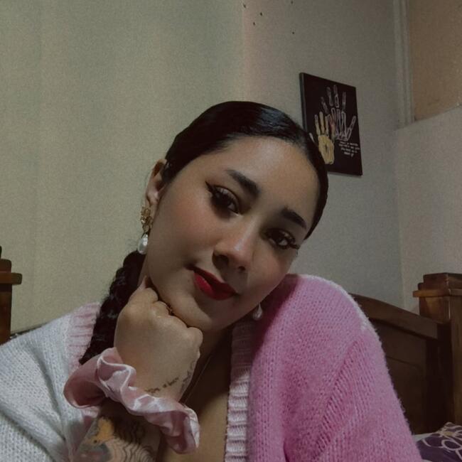 Babysitter in San José (Provincia de San José): Silvia