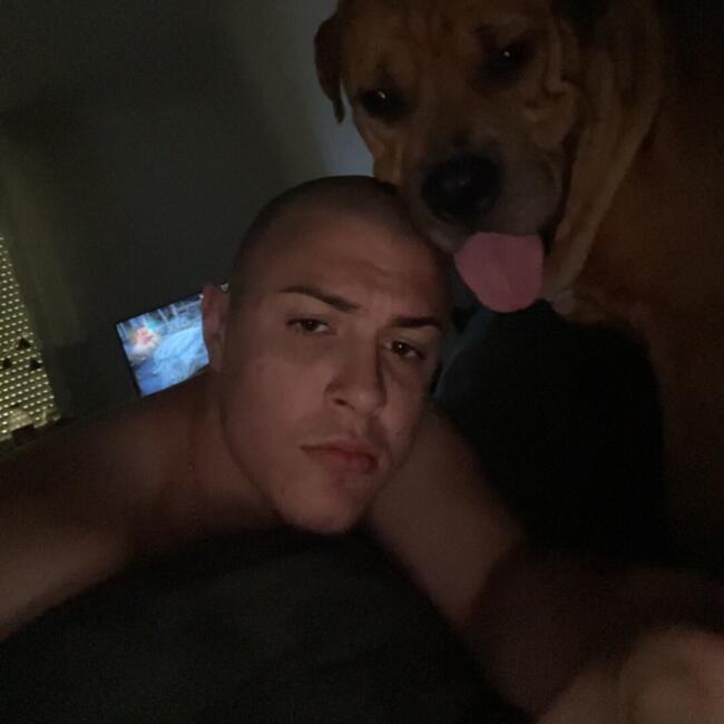 Babysitter in Stuttgart: Nikola