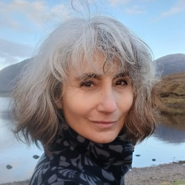 Babysitter in Limerick: Monica