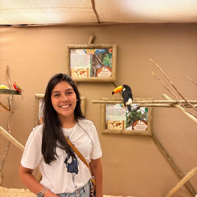 Niñera en Santiago de Chile: Valentina Pincheira