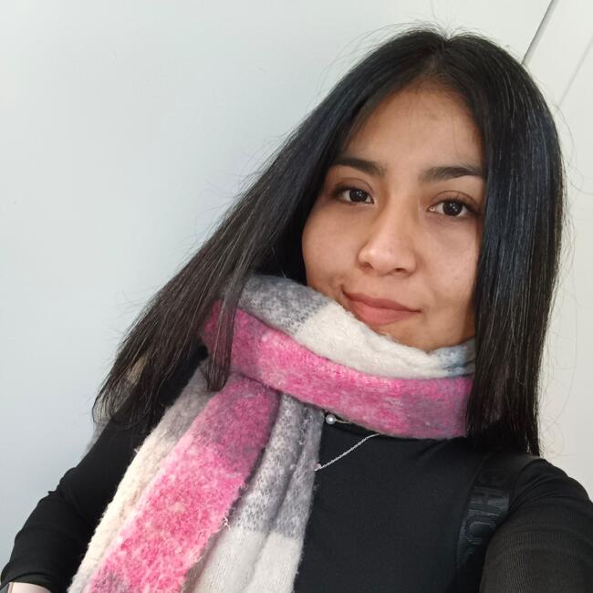 Niñera en Temuco: Javiera Morales