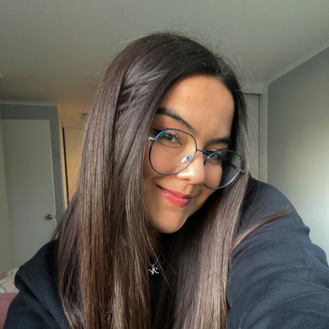 Babysitter in Santiago: Nicoll