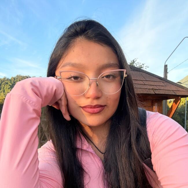 Babysitter in Puente Alto: Denisse