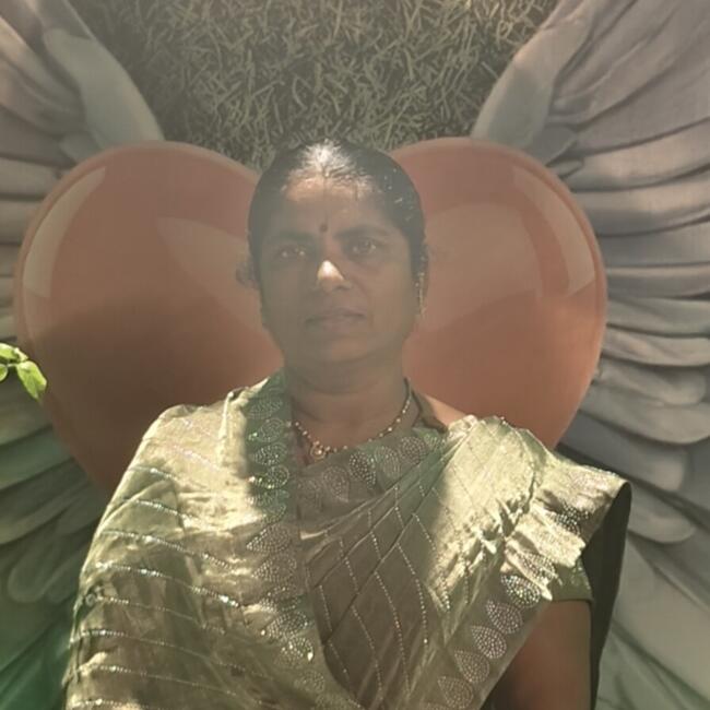 पुणे में आया: Minakshi