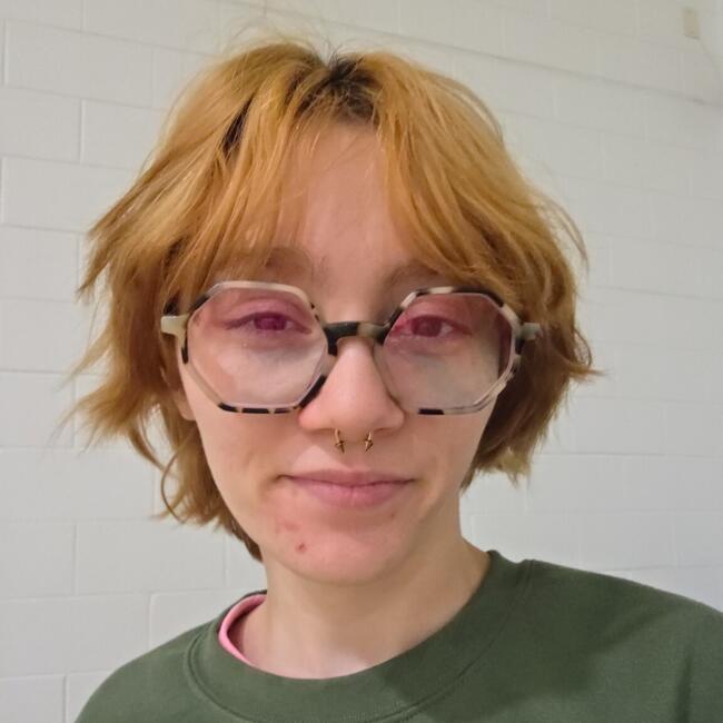 Babysitter in Kankakee: Bea