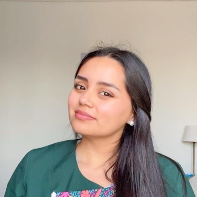 Babysitter in Talcahuano: Alanis Rivas