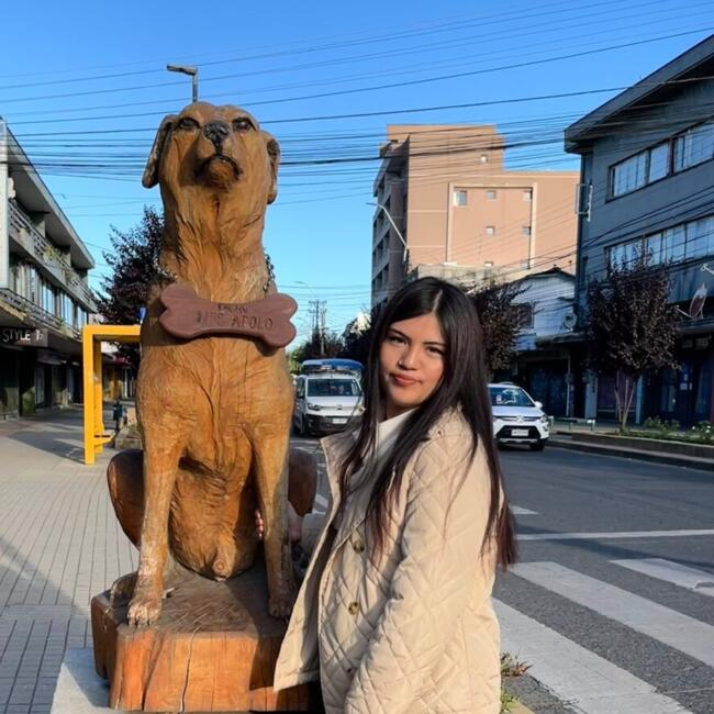 Babysitter in Santiago: María