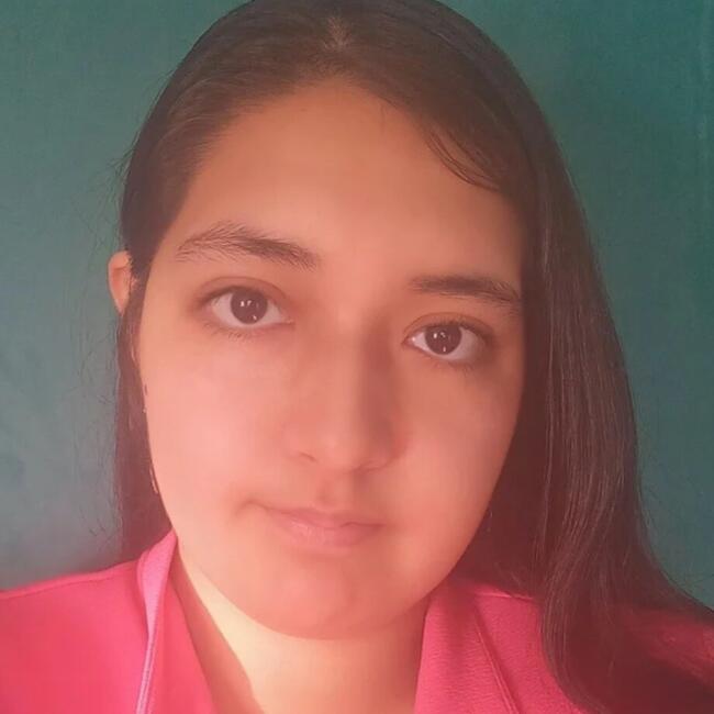 Babysitter in Coyhaique: Sofia
