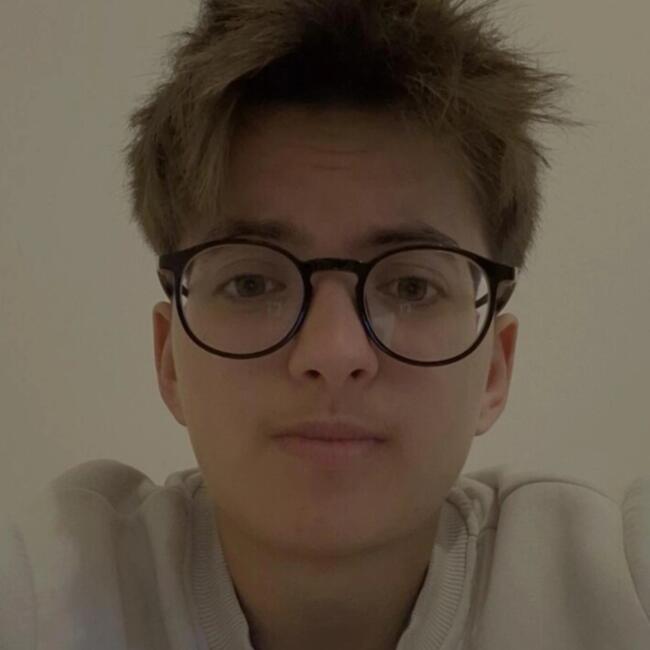Babysitter in Saint-Etienne: Charles