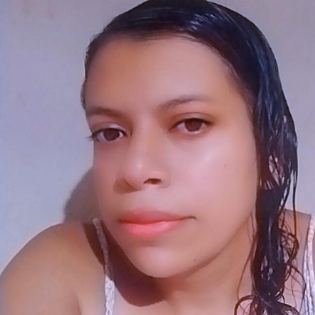Babysitter in Guaiçara: Silvana