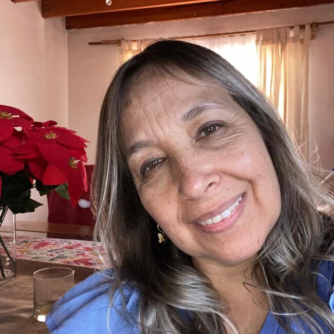 Babysitter in Santiago: Jenny