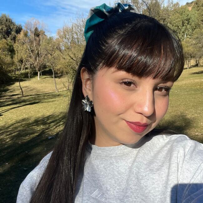 Babysitter in Rancagua: Nicol