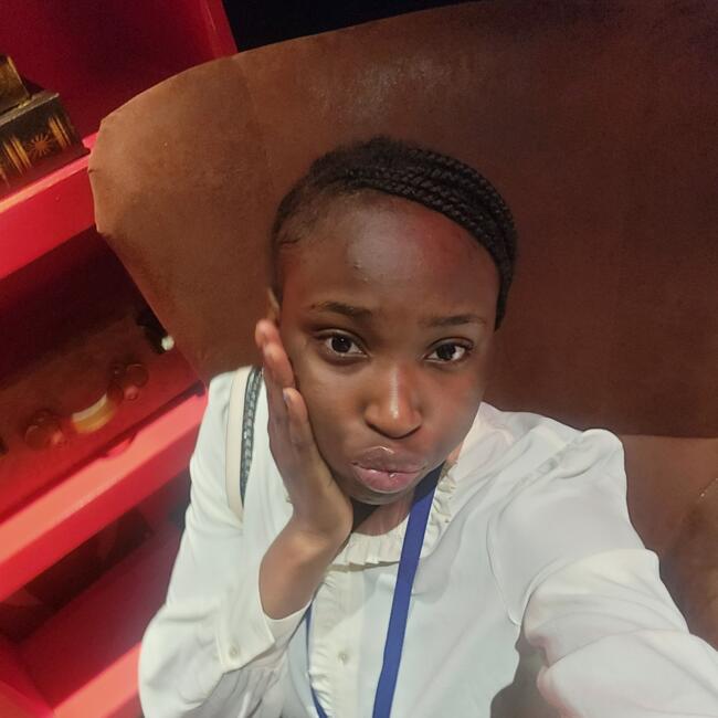 Babysitter in Missouri City (Texas): Chozeyn