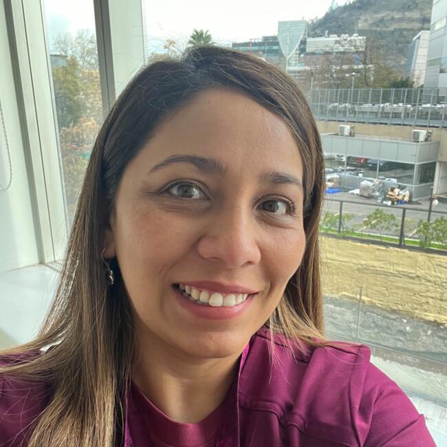 Trabajo para niñera en Santiago de Chile: Yasnira