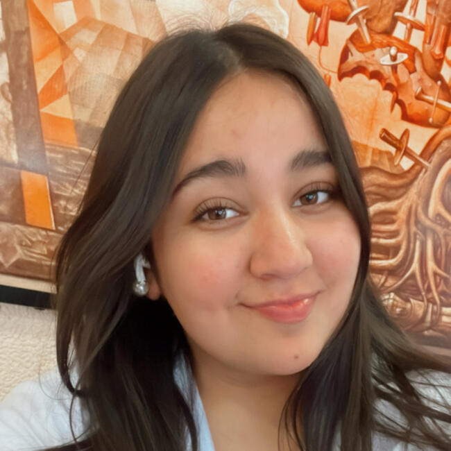 Babysitter in Chillán: Doris