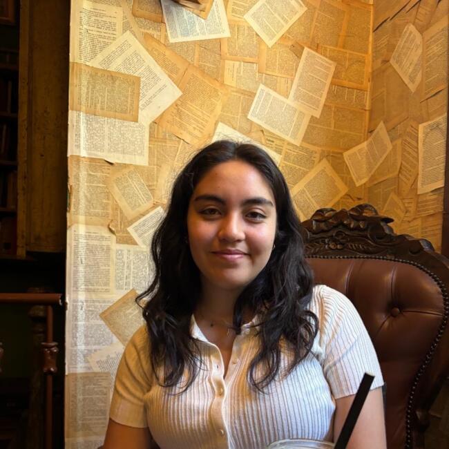 Babysitter in Concepción: Sofia