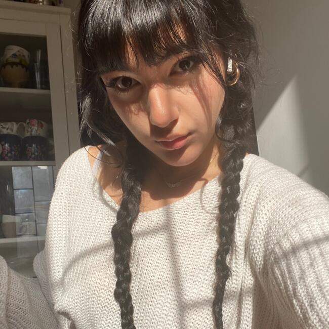 Babysitter στην περιοχή Χαλάνδρι: Σαρα-Νικη (Σανι)