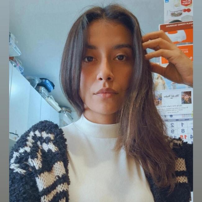 Trabajo para niñera en Coquimbo: Diana