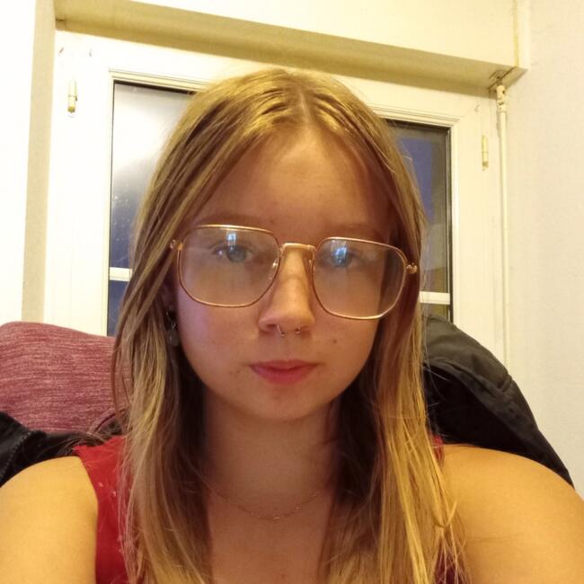 Babysitter in Gorron: Andy