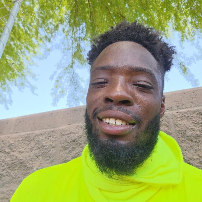 Babysitting job in Phoenix: Ziare