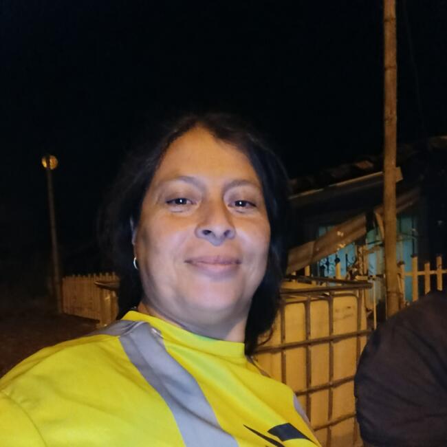 Niñera en Armenia: Audilisney Rubio