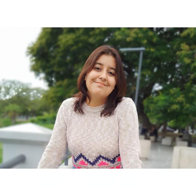 Niñera en Ciudad de Resistencia: Carolina Silva