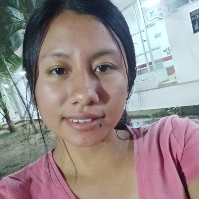 Babysitter in La Guardia (Departamento de Santa Cruz): Lizbeth