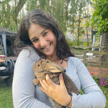 Babysitter in York: Irati