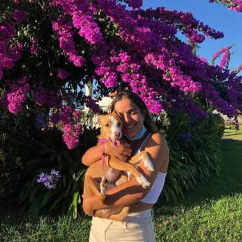 Babysitter em Gondomar: Joana