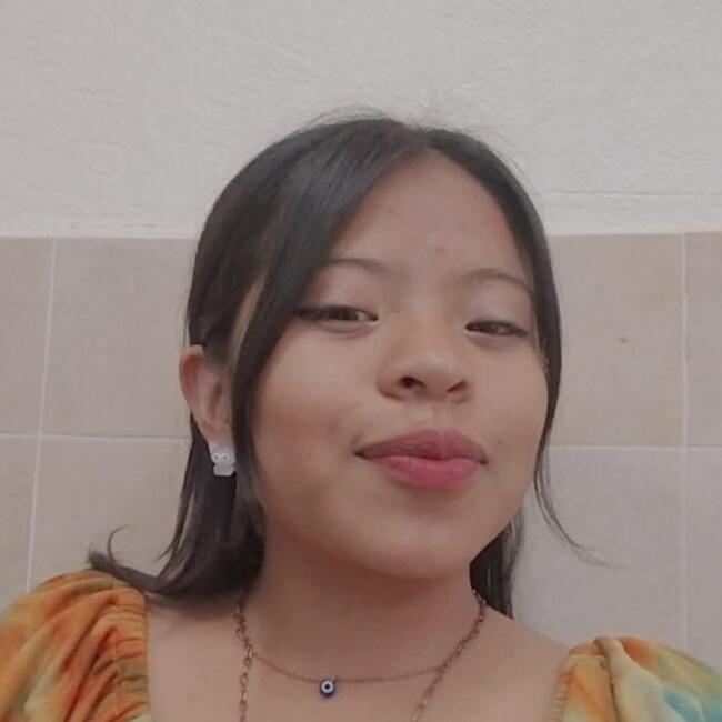 Babysitter in Villa de Almoloya de Juárez: Alejandra