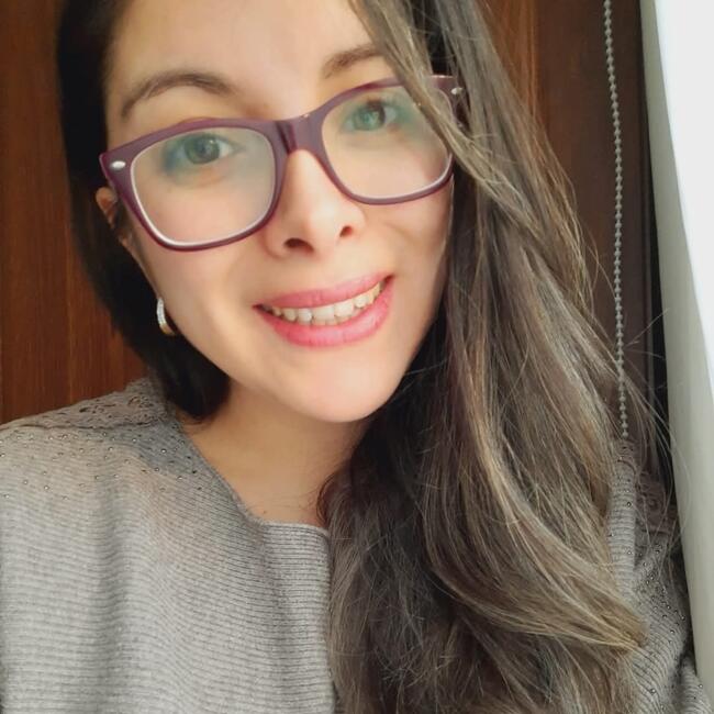 Babysitting job in Valdivia: Consuelo