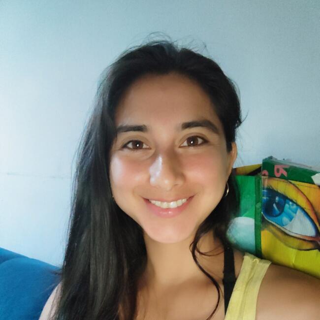 Trabajo para niñera en Chillán: Ayni