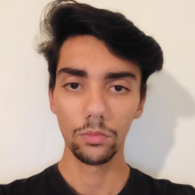 Babysitter em Montijo: Pedro