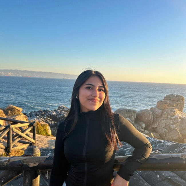 Niñera en Viña del Mar: Constanza