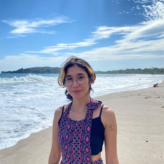Niñera en Desamparados (Cantón de Alajuela): Sara