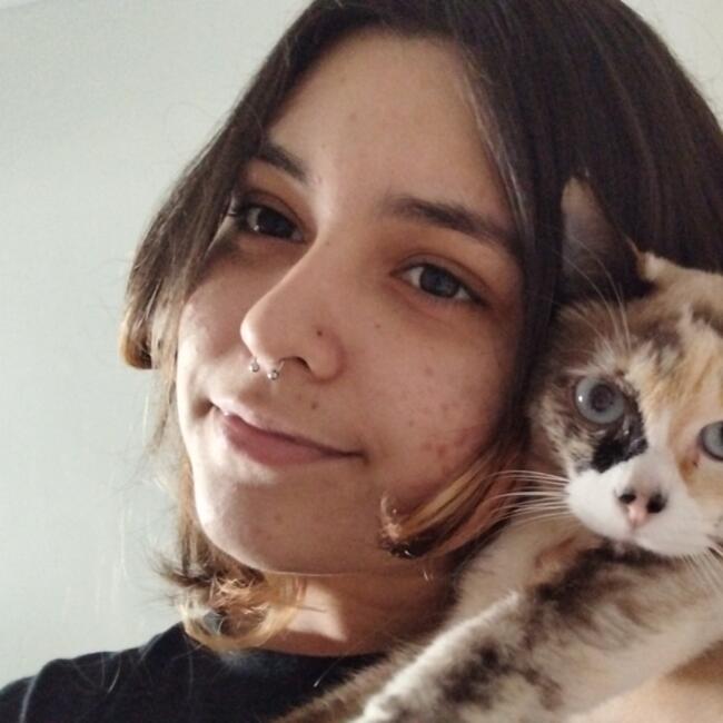 Babysitter in Araquari: Camila