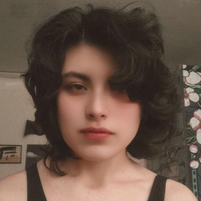 Babysitter in Bogotá: Michelle Mendoza