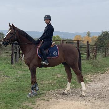 Baby-sitter in Montigny-lès-Metz: Alexiane