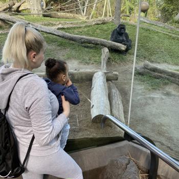Babysitting Jobs in Sacramento: babysitting job Micah