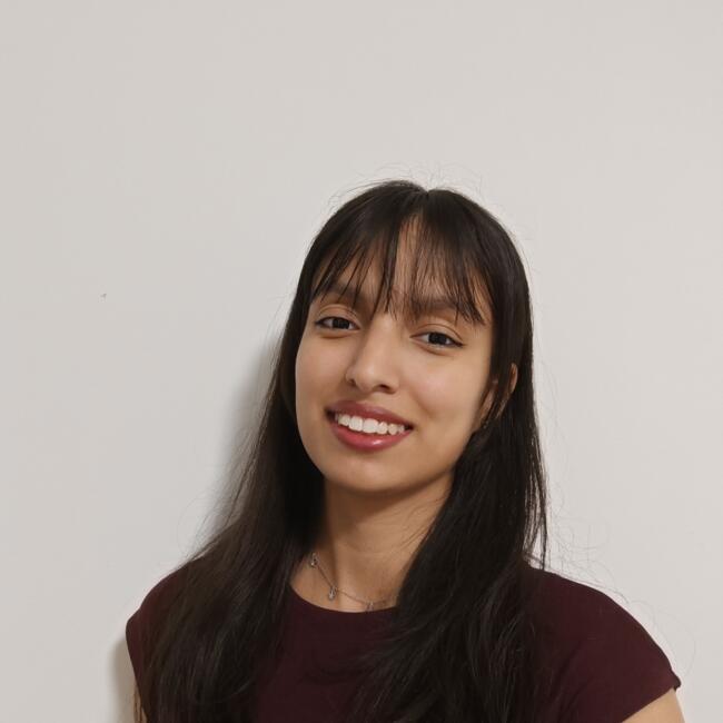 Babysitting job in Igualada: Aldana