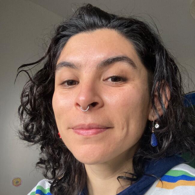 Babysitter in Cauquenes: Paola