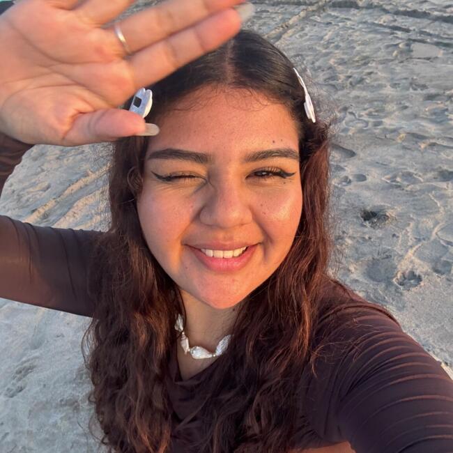 Babysitter in La Serena: Francisca