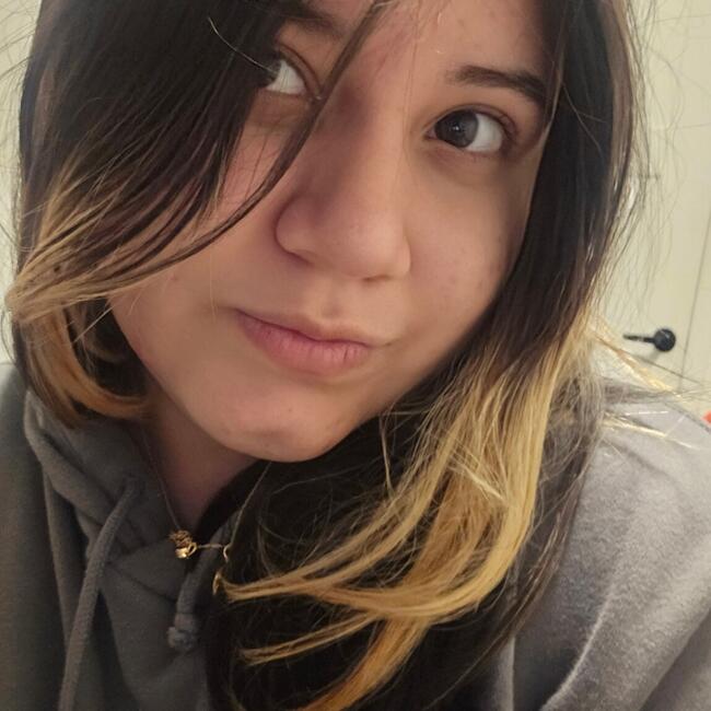 Babysitter in American Fork: Idania castillo